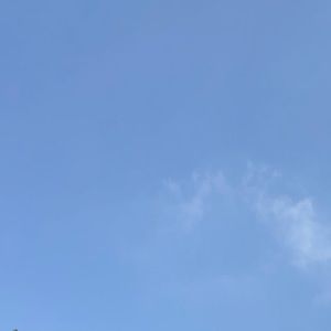 Meet your Posher, Carley